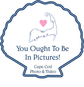 You Ought to be in Pictures! Cape Cod Photography and Videography